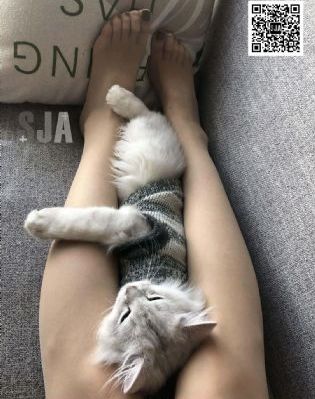 狮子王电影