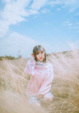 航海王在线播放免费观看